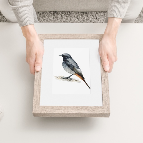 Redstart Bird Wall Art Watercolor Illustration Print Poster Card Unframed - Picture 4 of 7